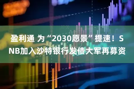 盈利通 为“2030愿景”提速！SNB加入沙特银行发债大军再募资
