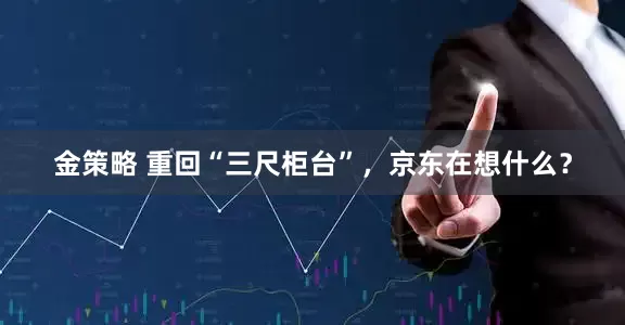 金策略 重回“三尺柜台”，京东在想什么？