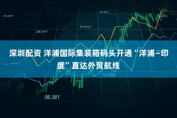 深圳配资 洋浦国际集装箱码头开通“洋浦—印度”直达外贸航线