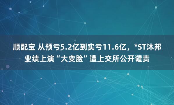 顺配宝 从预亏5.2亿到实亏11.6亿，*ST沐邦业绩上演“大变脸”遭上交所公开谴责