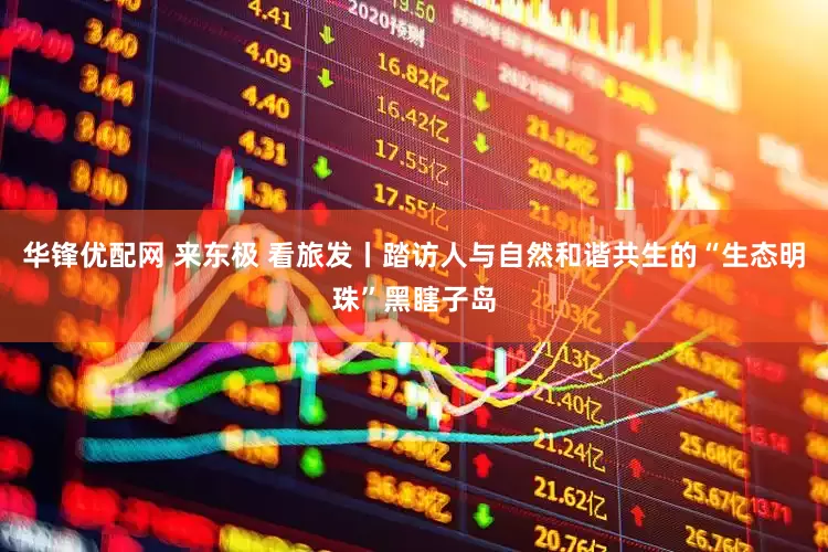 华锋优配网 来东极 看旅发丨踏访人与自然和谐共生的“生态明珠”黑瞎子岛
