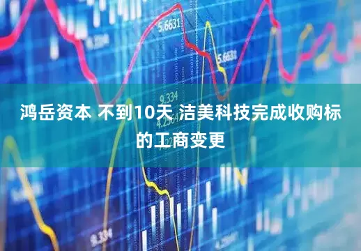 鸿岳资本 不到10天 洁美科技完成收购标的工商变更