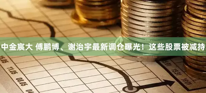中金宸大 傅鹏博、谢治宇最新调仓曝光！这些股票被减持
